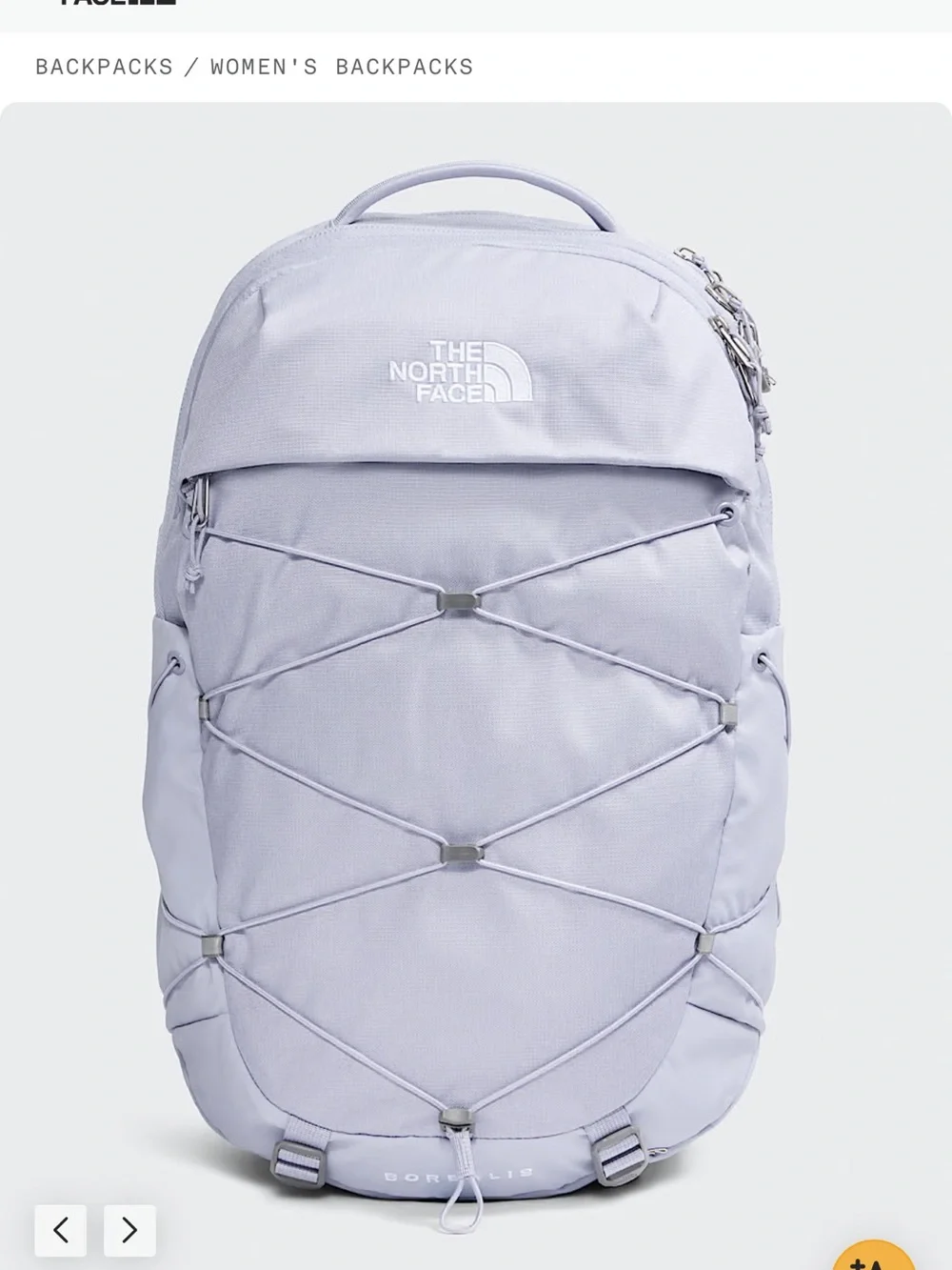 The North Face Women's Borealis Backpack - Light Blue
